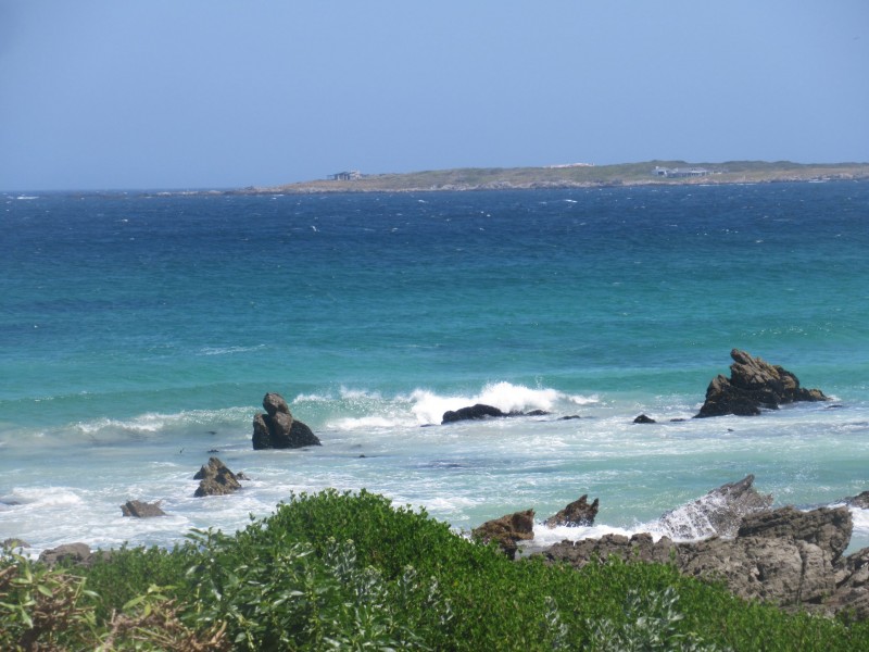 bettysbaai2