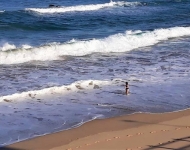 40586084 2239951886236066 7924097558836674560 n