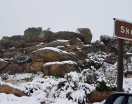 41313783 2243249549239633 6876534423794221056 n