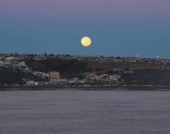 43013707 2257140157850572 7296846481795842048 n